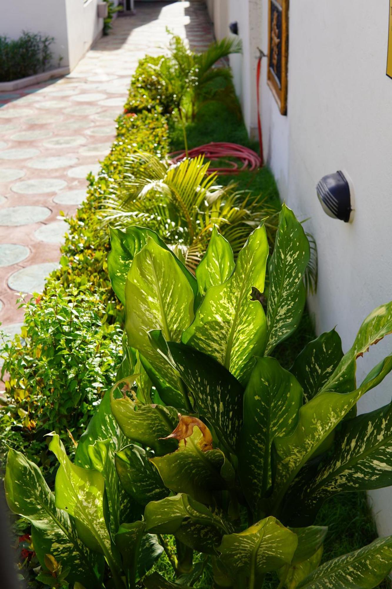 Prestige Guesthouse ,Ksi Kumasi Exterior foto